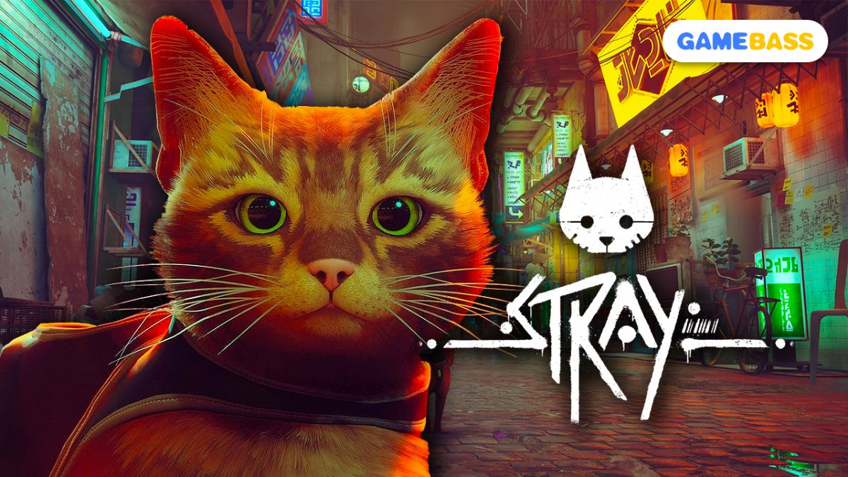 Stray ----- Survive in a Futuristic City!