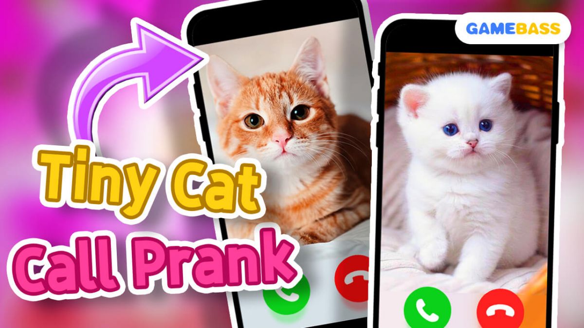 Tiny Cat Call Prank